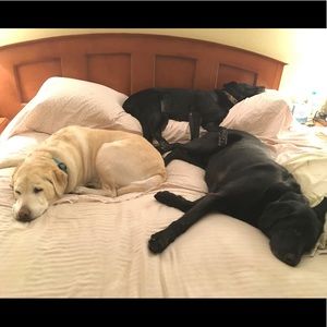 Meet your Posher, Debbie